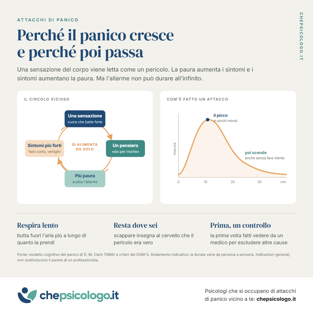 Infografica: il circolo vizioso del panico, in cui una sensazione del corpo viene letta come un pericolo, la paura aumenta i sintomi e i sintomi aumentano la paura. Accanto, la curva di un attacco, che arriva al picco in pochi minuti e poi scende da sola